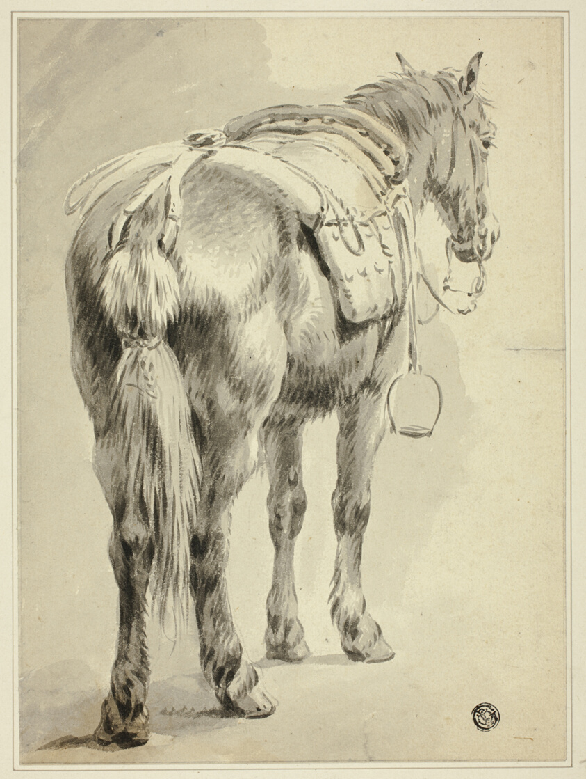 Saddle Horse