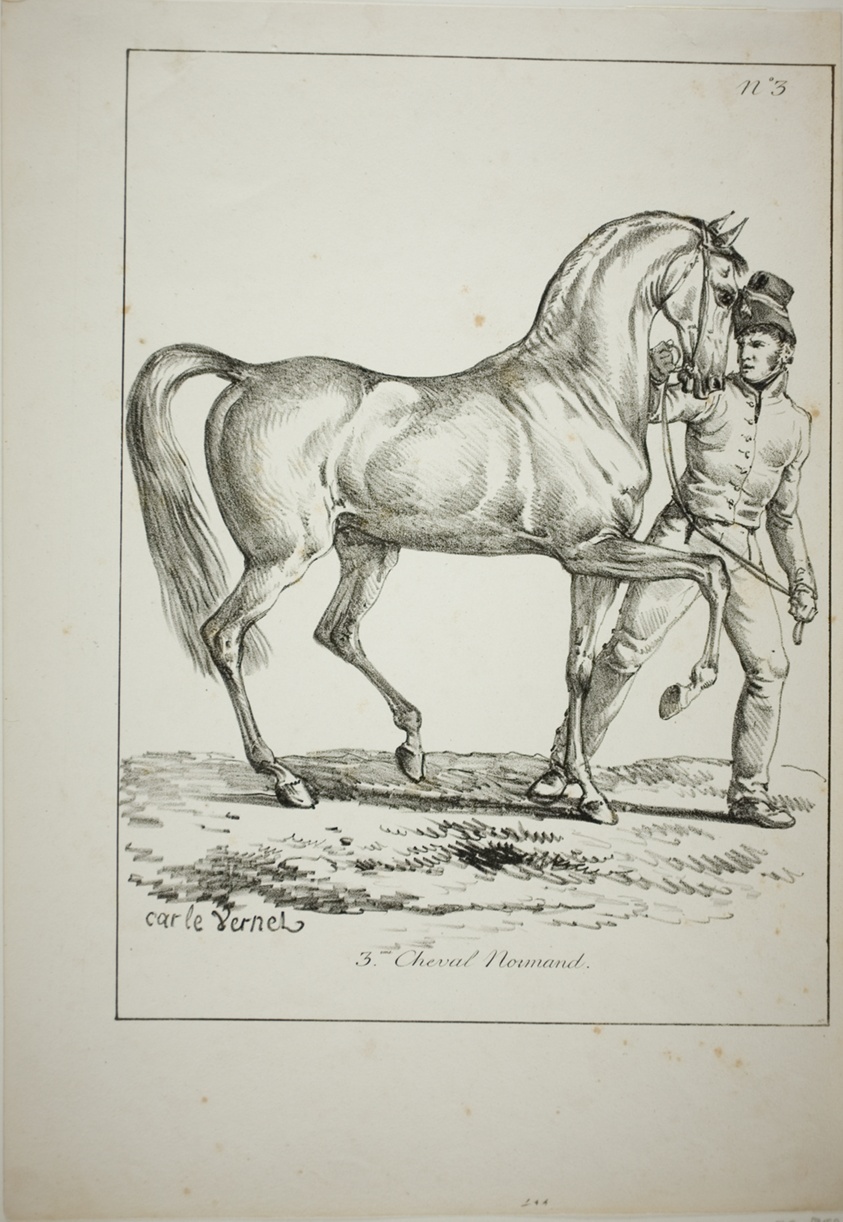 Royal Guard, Norman Cavalier, not in Full Dress, and Horse, No. 3