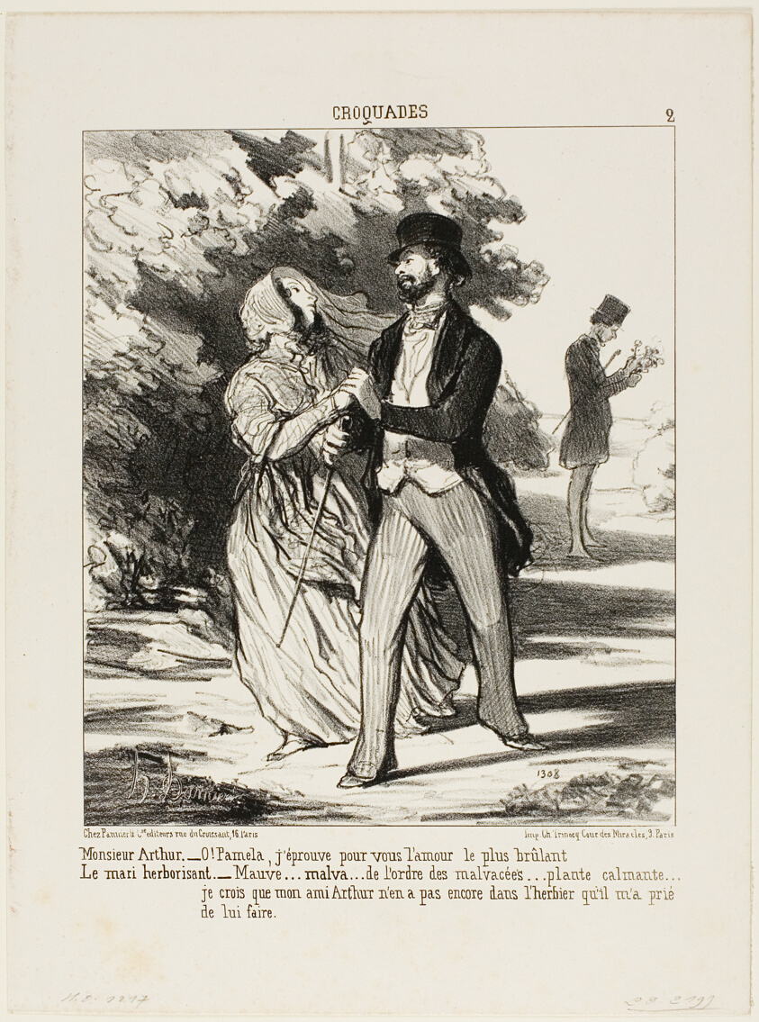 Monsieur Arthur: “- Oh Pamela! I am burning with love for you!” The husband herbalist: “- A mallow... of the family of Malvaceae... a sedative... I don't believe my friend Arthur has this specimen in the herbarium he asked me to build for him,” plate 2 from Croquades