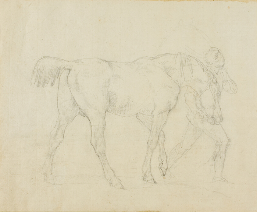 Groom Leading a Horse