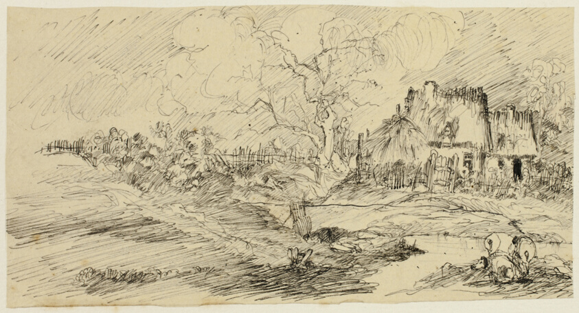 Country Landscape