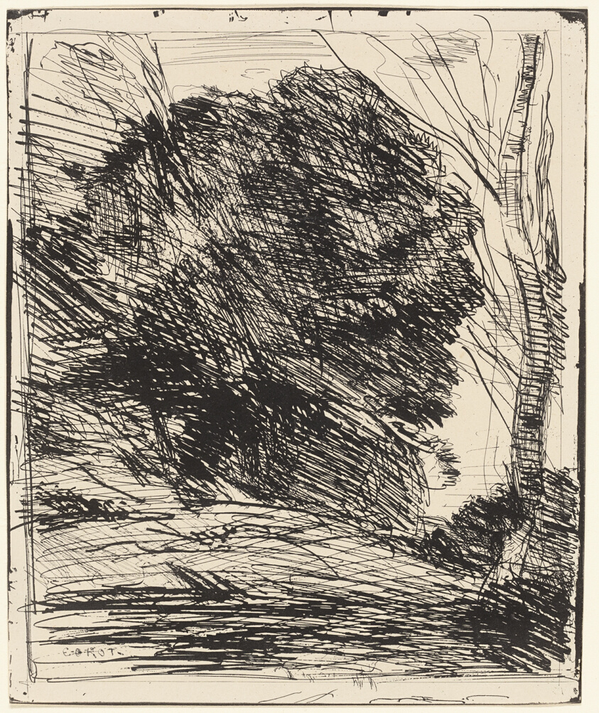 Trees on a Mountainside