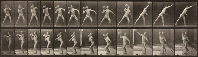 Animal Locomotion, Plate 319