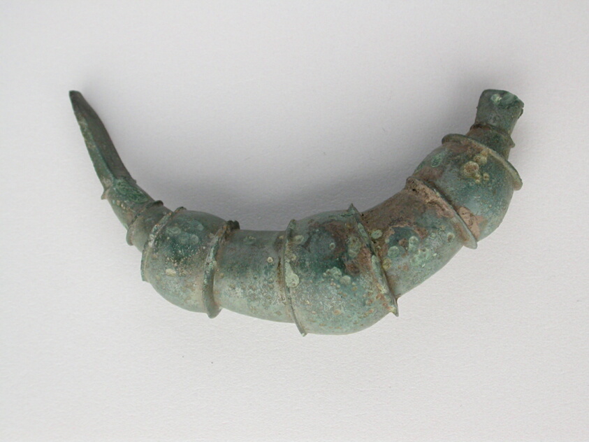 Bow Fibula