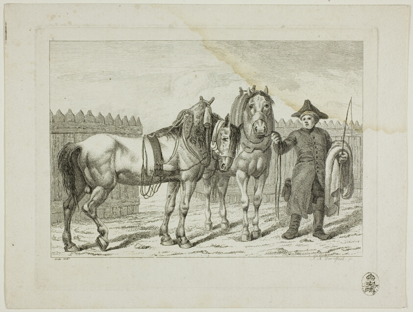 Riding School and Horses