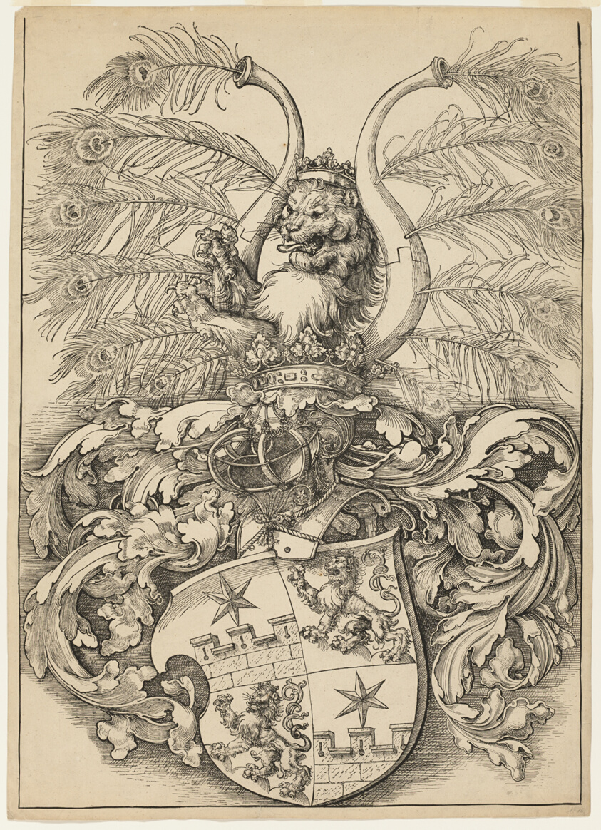 Coat of Arms of Wilhelm and Wolfgang Rogendorf