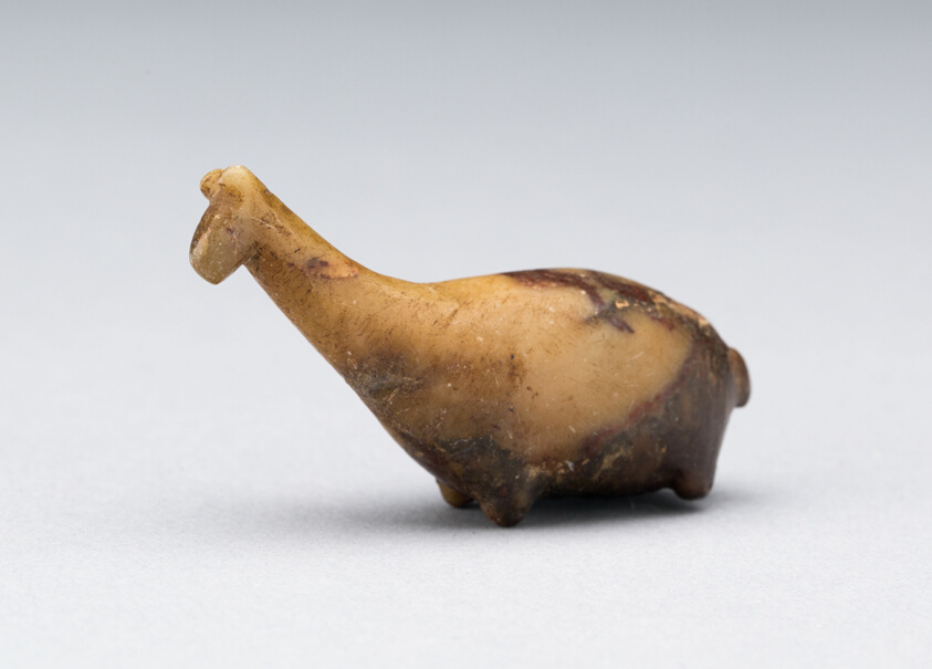 Weight Representing a Llama
