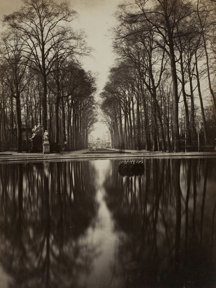 Untitled (Versailles)