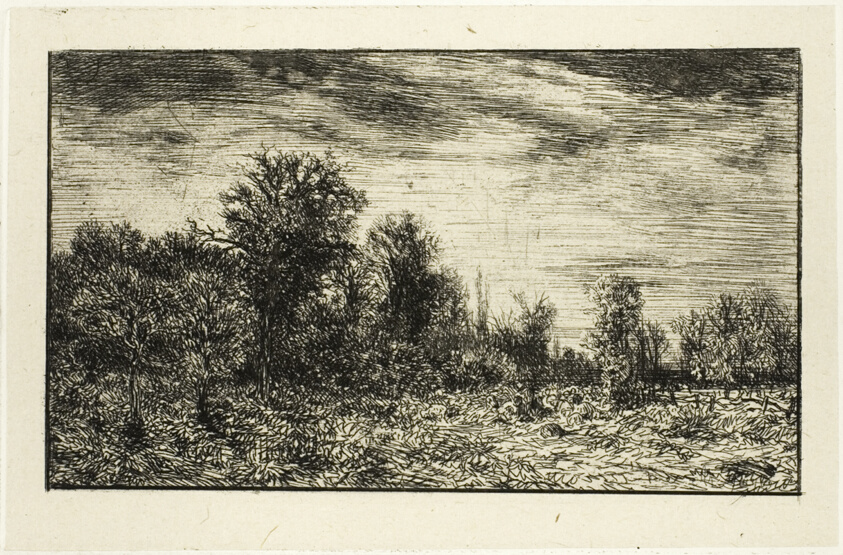 Edge of a Wood, under Cloudy Sky