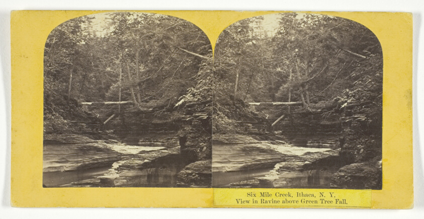Six Mile Creek, Ithaca, N.Y. View in Ravine above Green Tree Fall