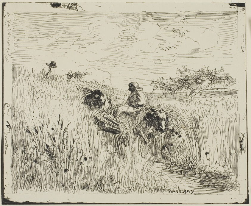 Path Through the Wheatfield