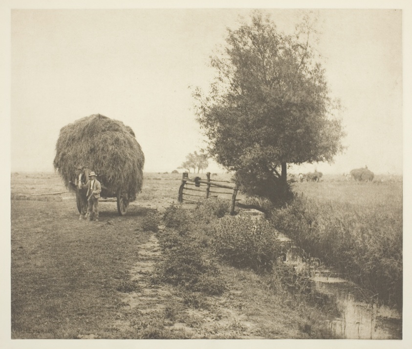 In the Haysel (Norfolk)