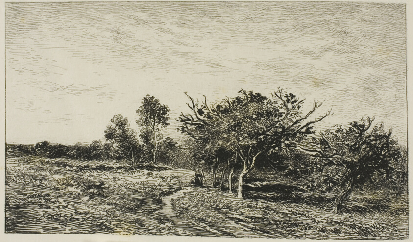 Apple Trees at Auvers