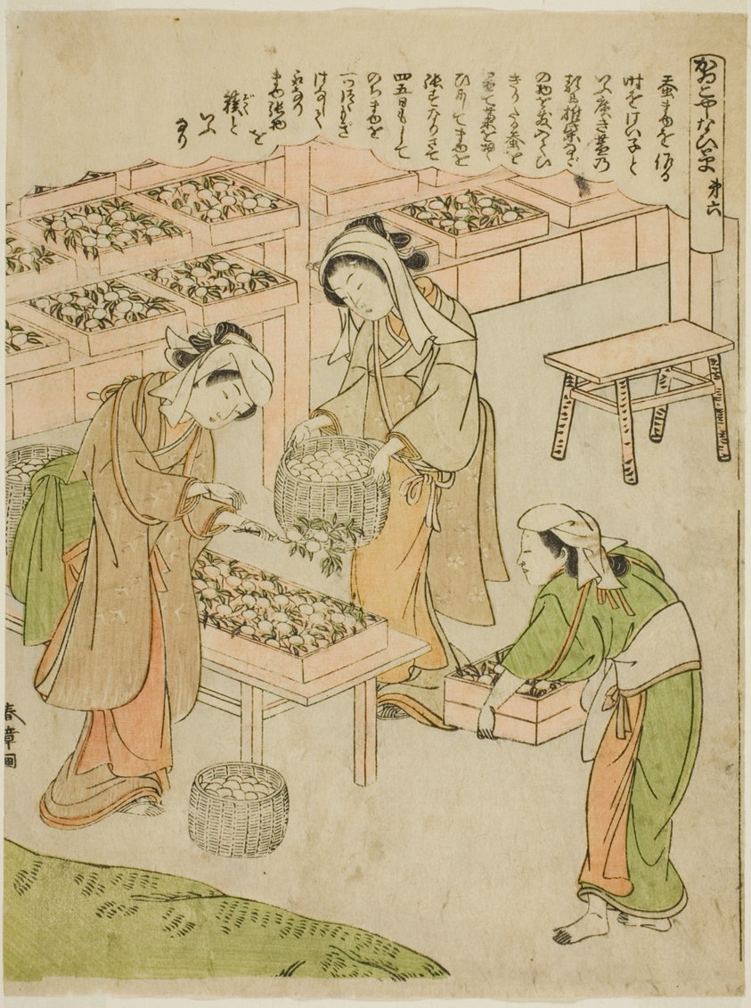 Plate 6 (Examining the Newly Spun Cocoons), from the series "Kaiko Yashinai-gusa"