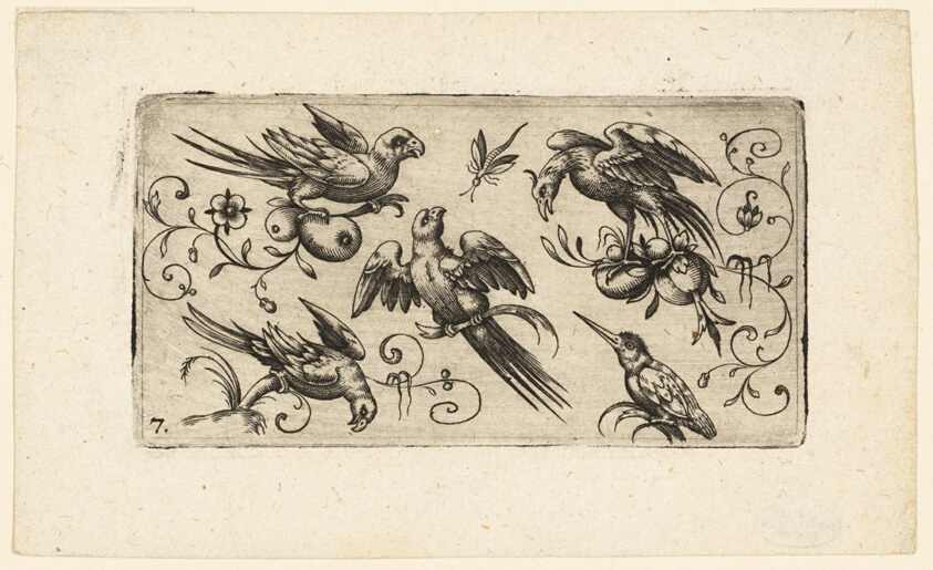 Ornament Panels with Birds: Plate 7
