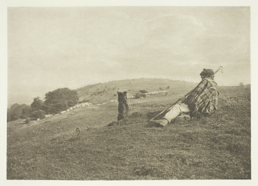 A Pastoral