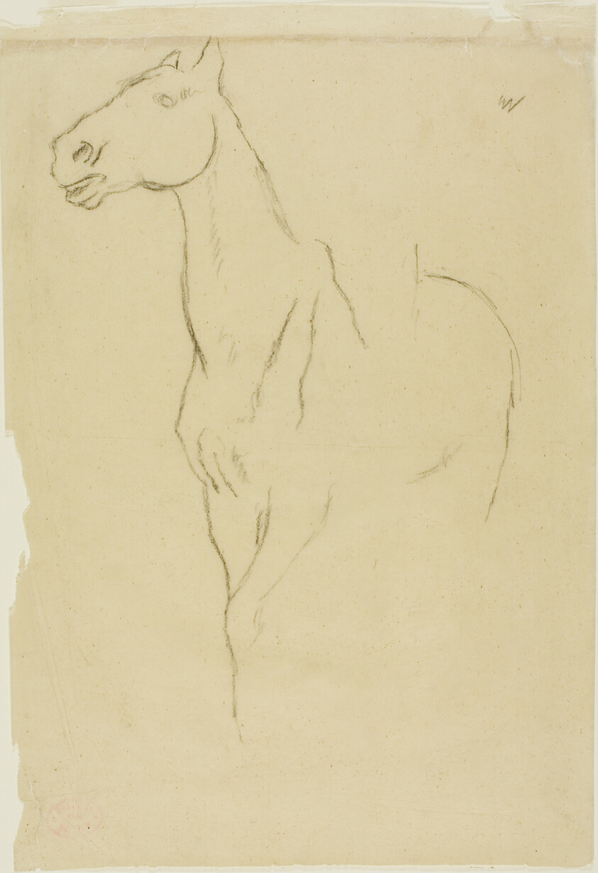 Horse Turned Three-Quarters