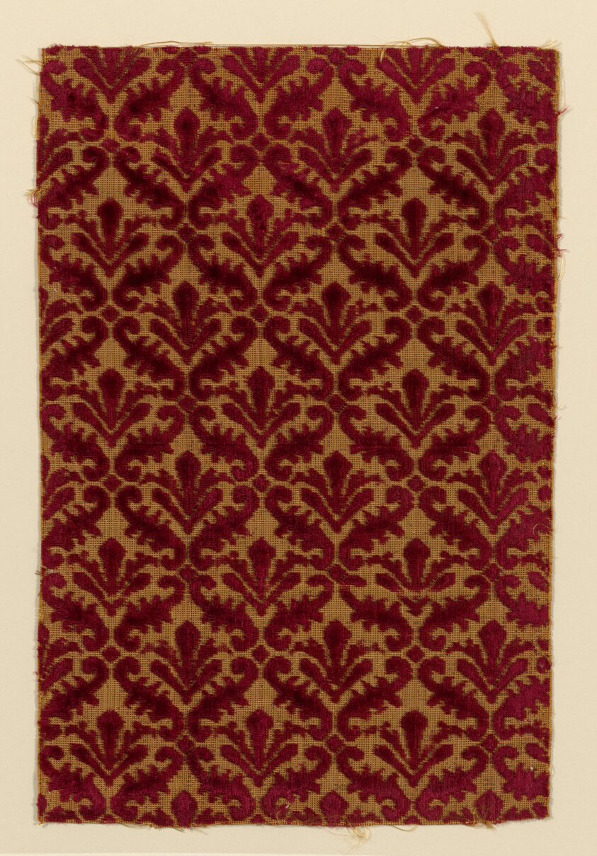 Fragment
