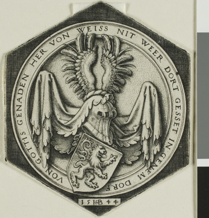 Coat of Arms with a Rampant Lion