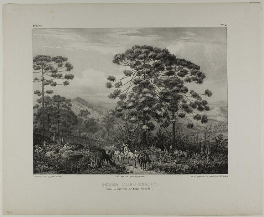 Serra Ouro-Branco in the Province of Minas Geraës, plate 4 from Landscapes, volume 1 of Voyage pittoresque dans le Brésil
