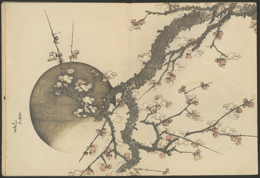 Plum Blossom and the Moon from the Book Mount Fuji in Spring (Haru no Fuji)