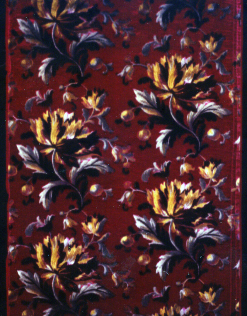 Panel (Dress Fabric)