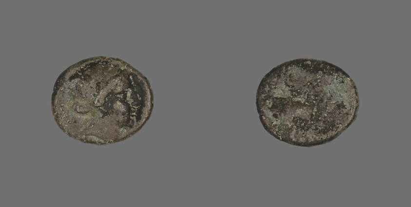 Coin Depicting the Amazon Cyme