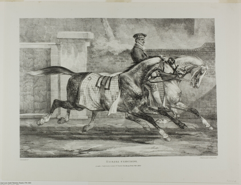 Horses Exercising, plate 6 from Various Subjects Drawn from Life and on Stone (The English Suite)