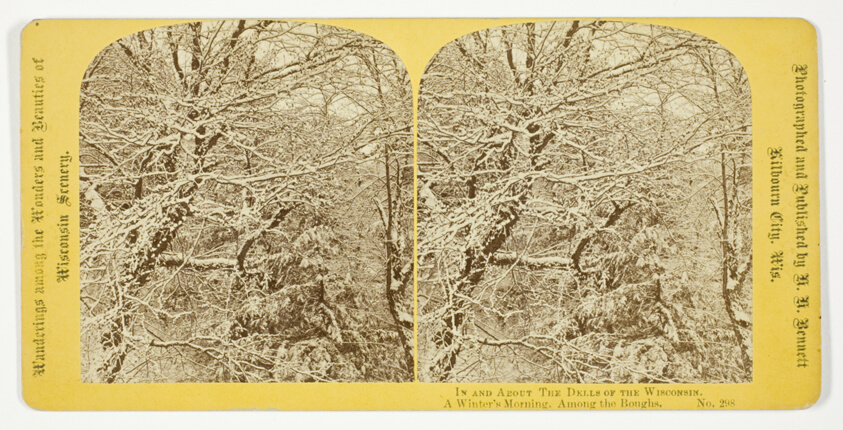 A Winter's Morning. Among the Boughs., No. 298 from the series "In and About the Dells of the Wisconsin River"