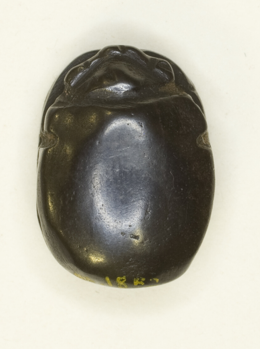 Scarab: Uninscribed