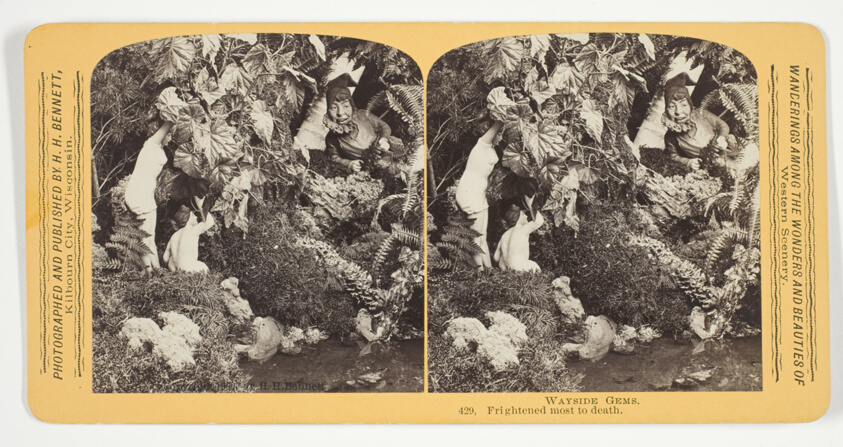 Frightened most to death, No. 429 from the series "Wayside Gems"