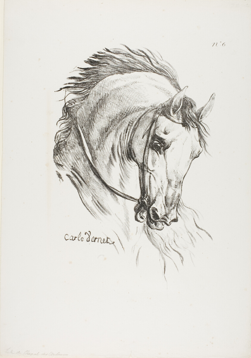 Detail of Horse's Head, Enlarged to Triple Size, Hussard, Royal Guard, No. 6