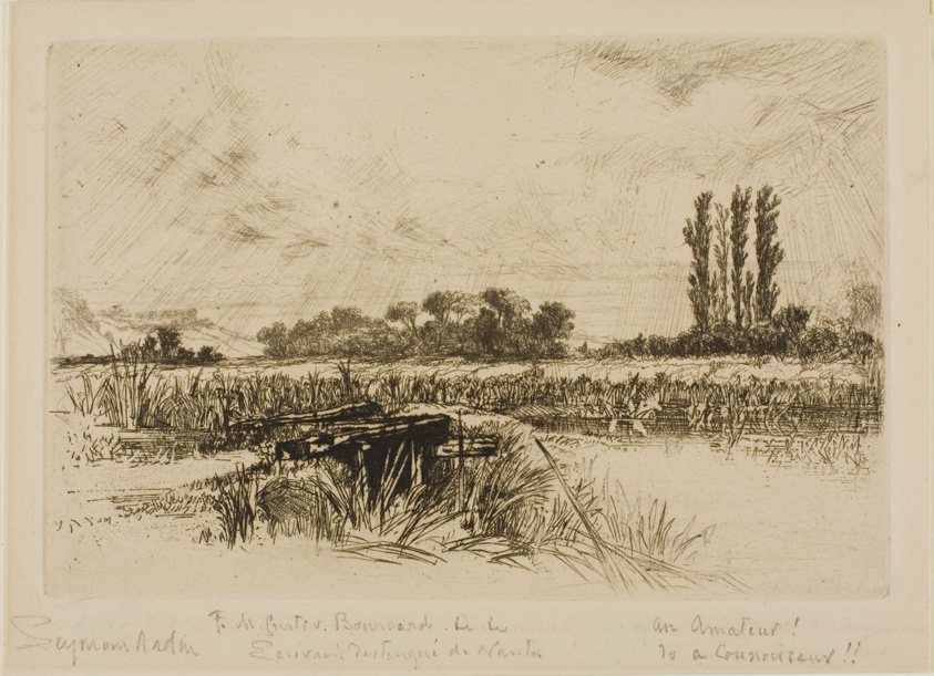 A Water Meadow