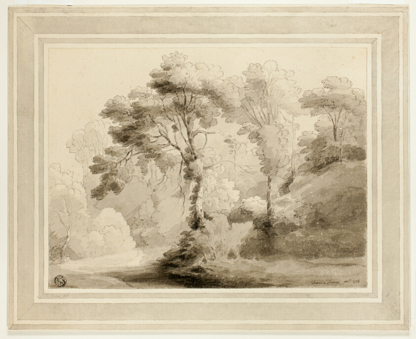 Wooded Landscape