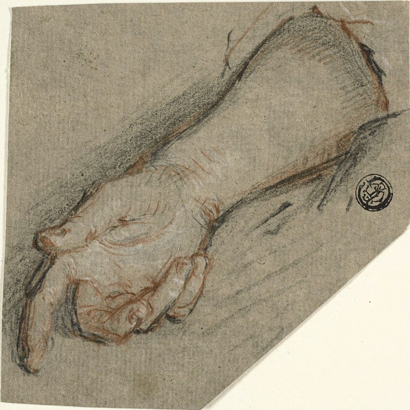 Back of Hand and Forearm