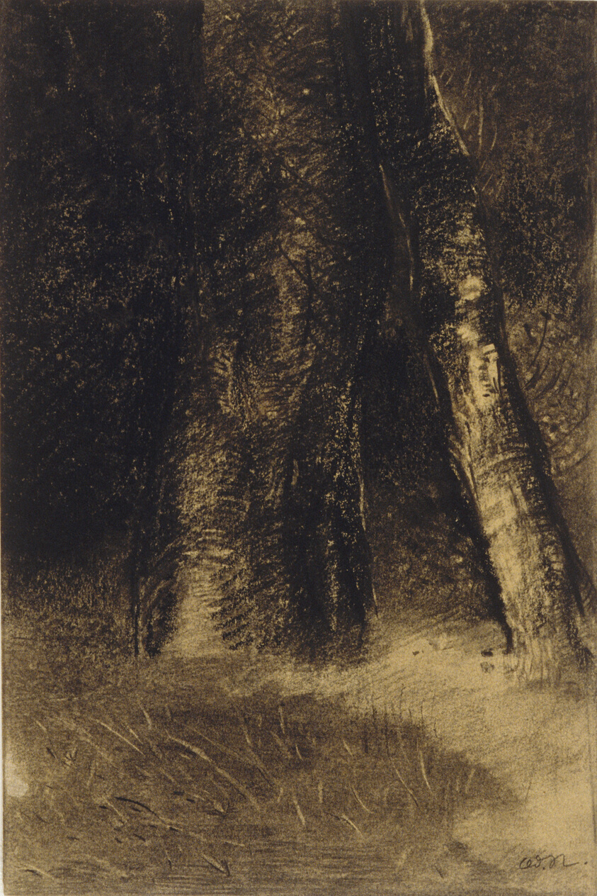 Sketch of Trees