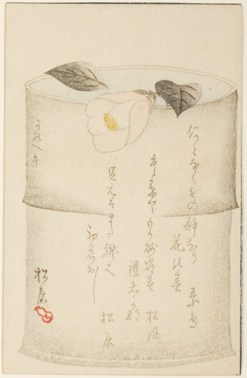 Camellia