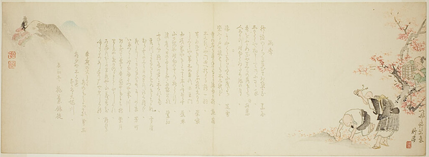Mountain with Pine and Maple Trees