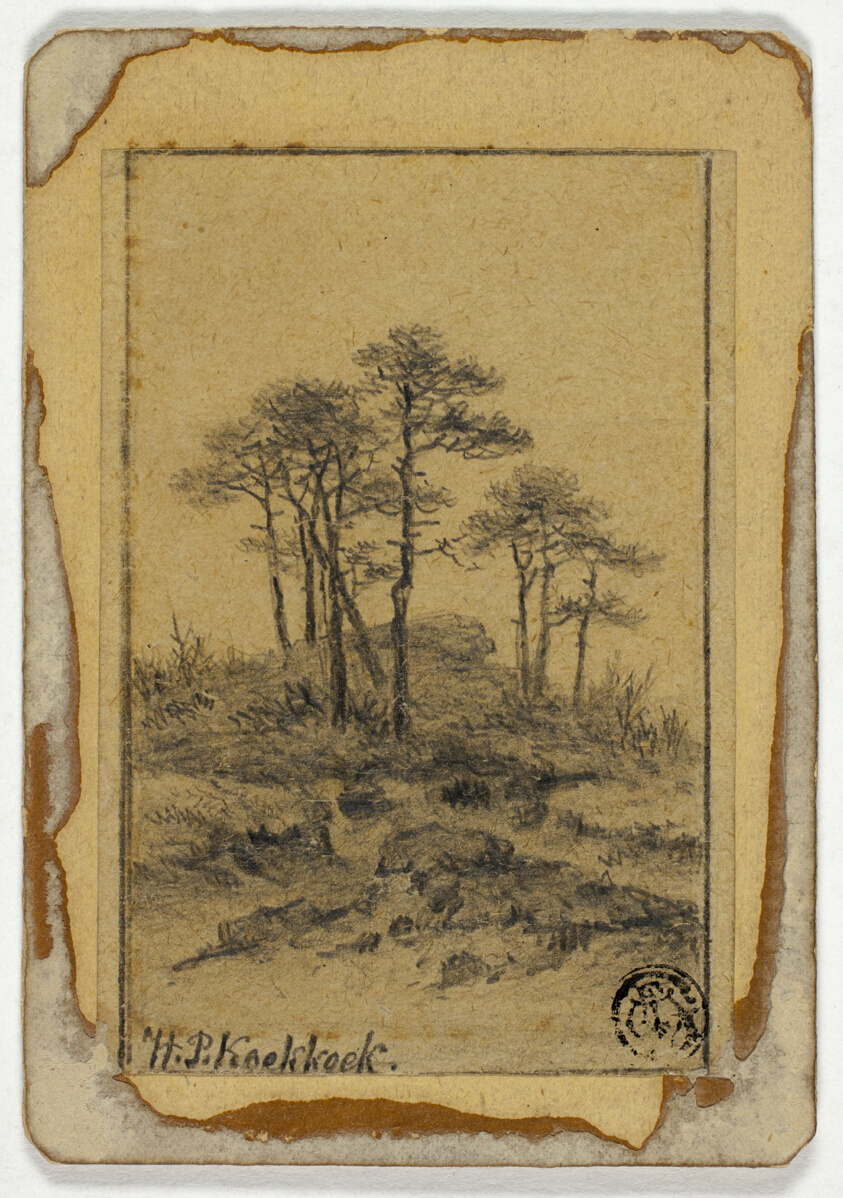 Trees on Rocky Hill