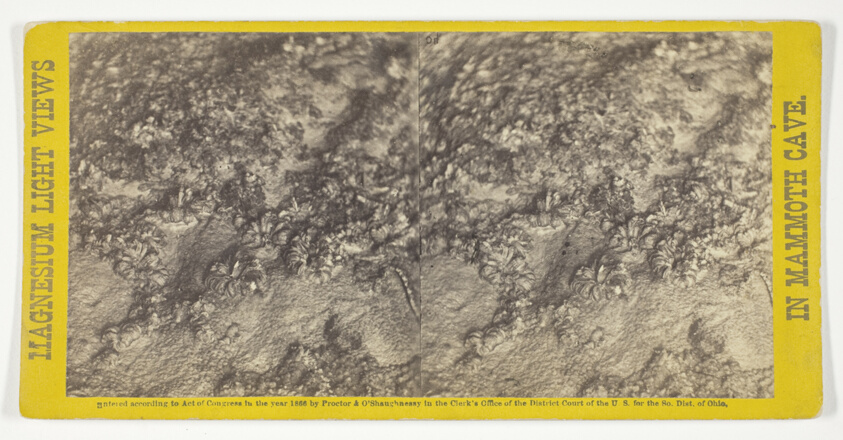 "Rosa's Bower", No. 40 from the series "Mammoth Cave Views"