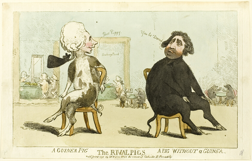 The Rival Pigs