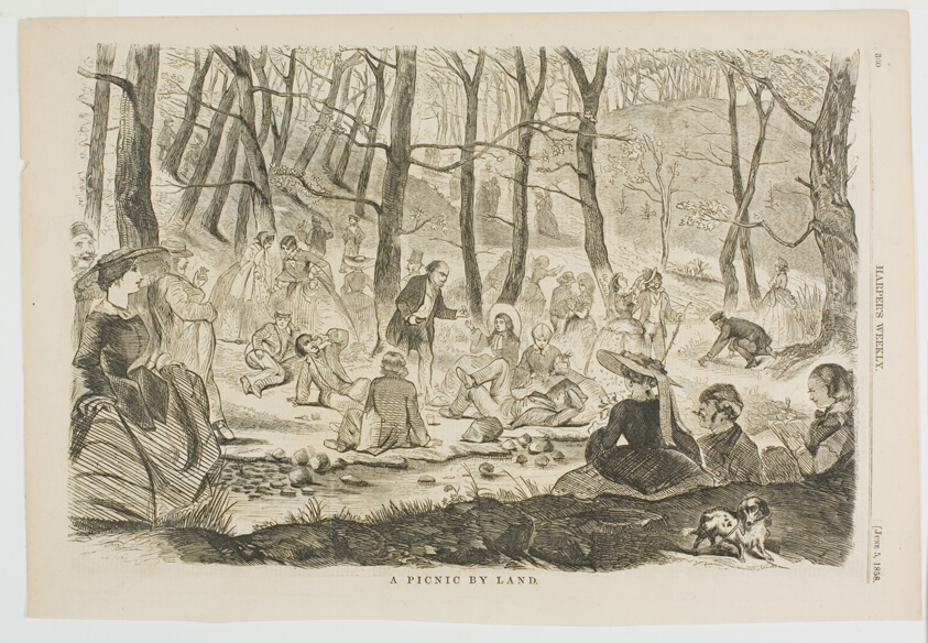 A Picnic By Land