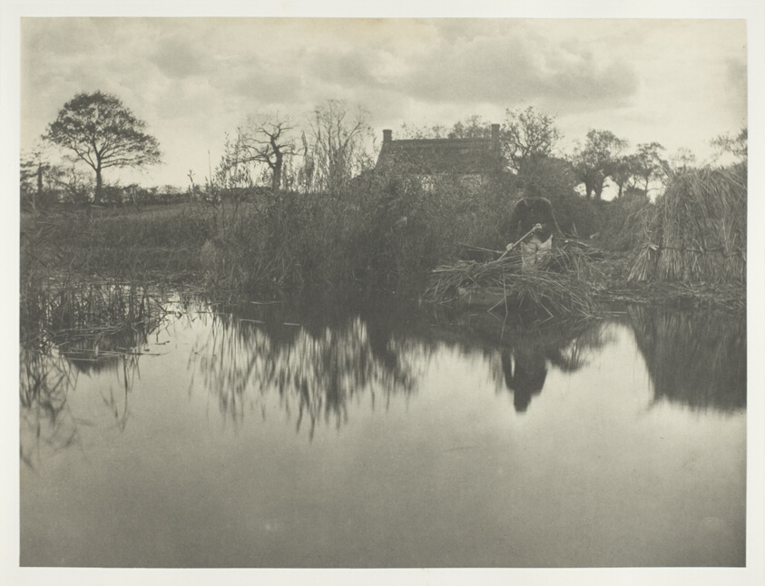 Quanting the Gladdon