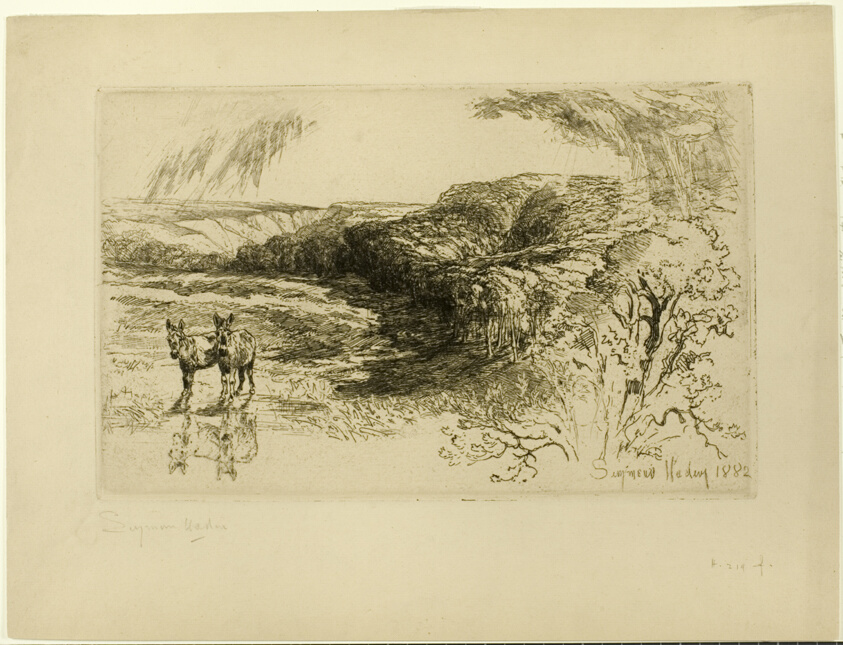 Encombe Woods, No. II