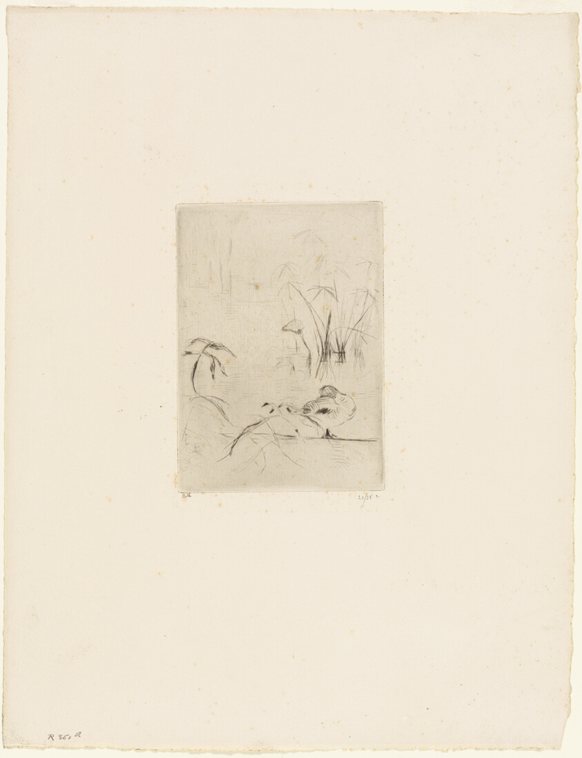 The Duck