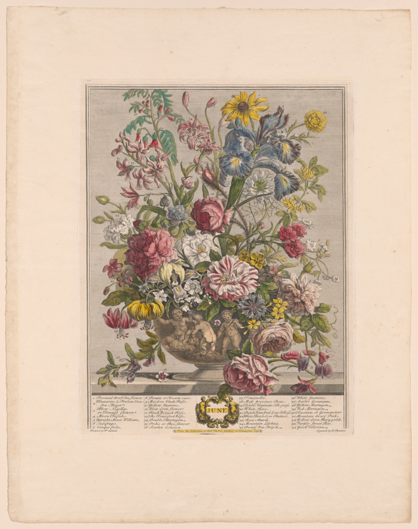 June, from Twelve Months of Flowers