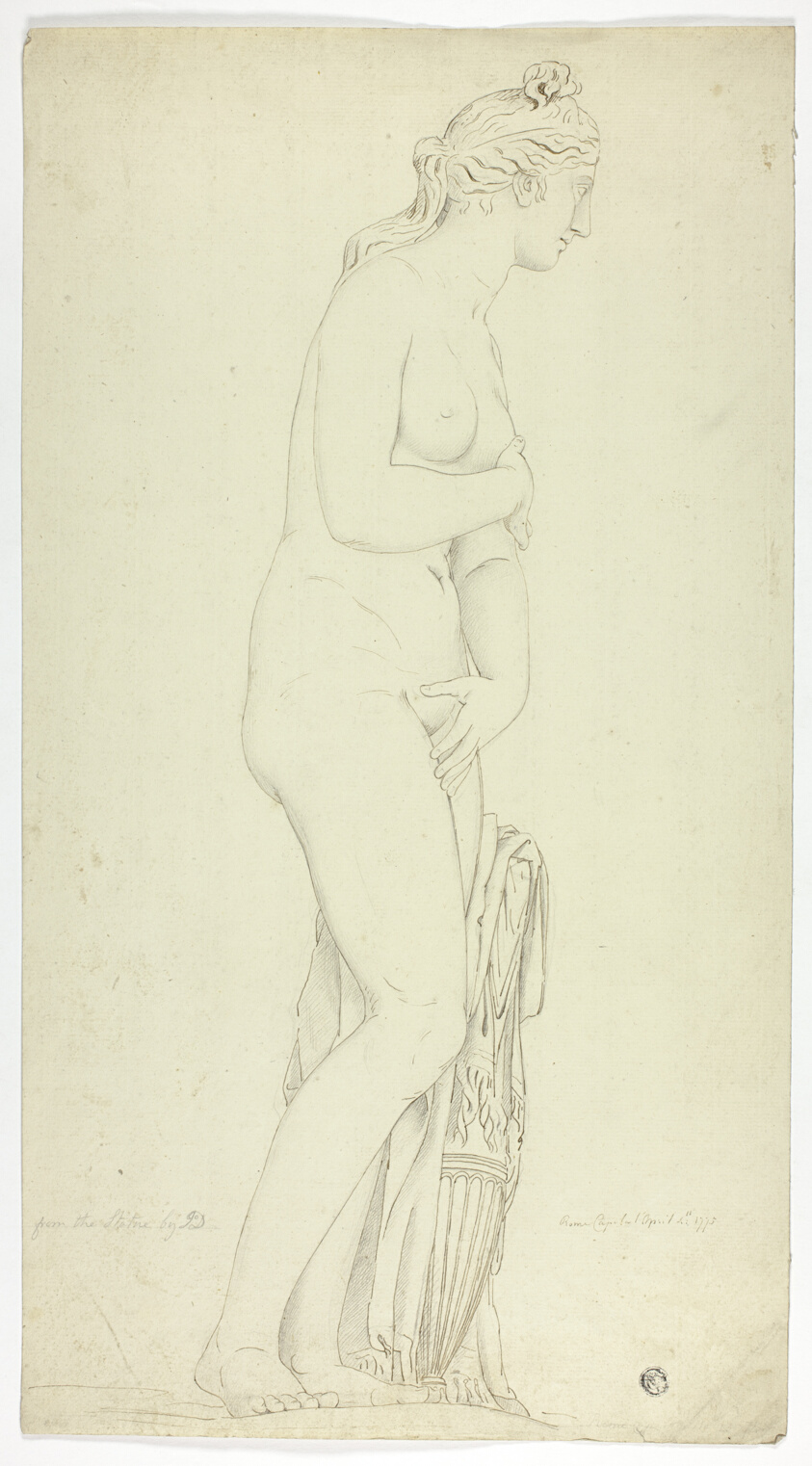 Study after Statue of the Capitoline Venus