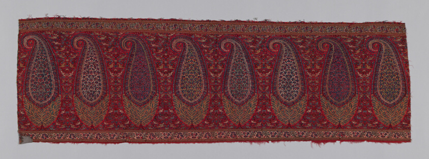 Shawl Border (Pallu)