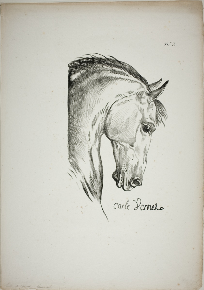 Detail of Horse's Head, Enlarged to Triple Size, Norman Royal Guard, No. 3