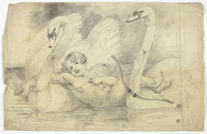 Cupid and Two Swans